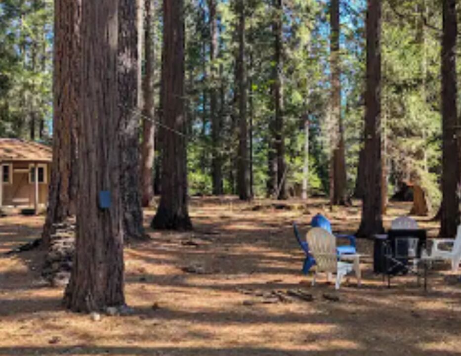 Photo of Outdoor in Nevada City