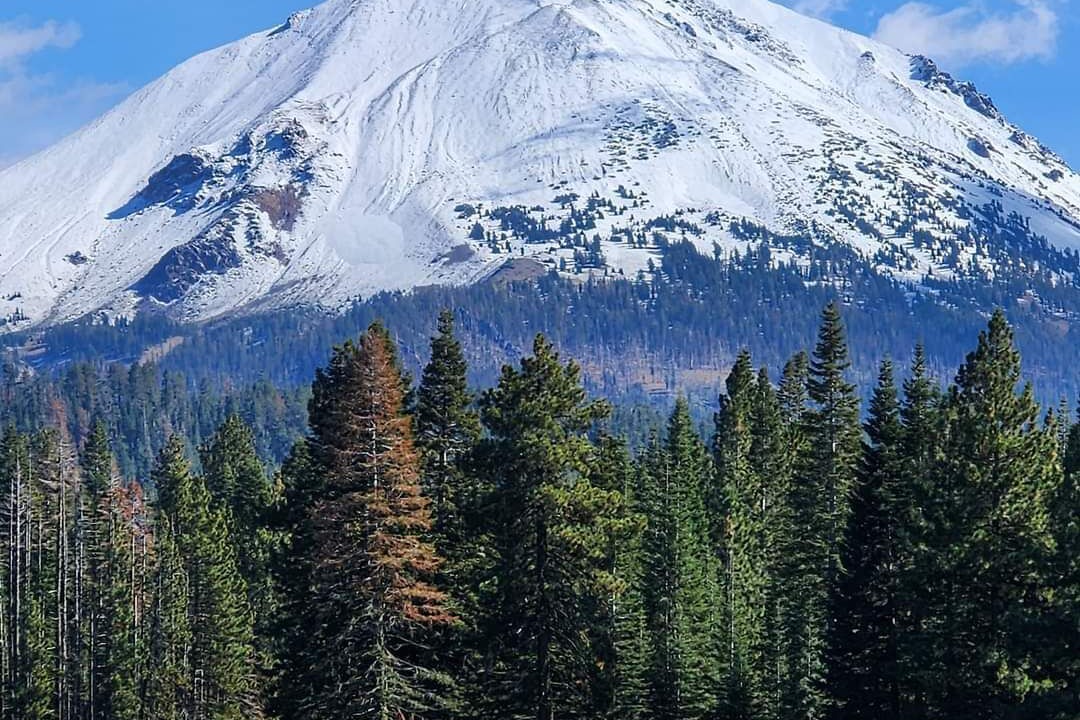 Photo of Outdoor in Shingletown