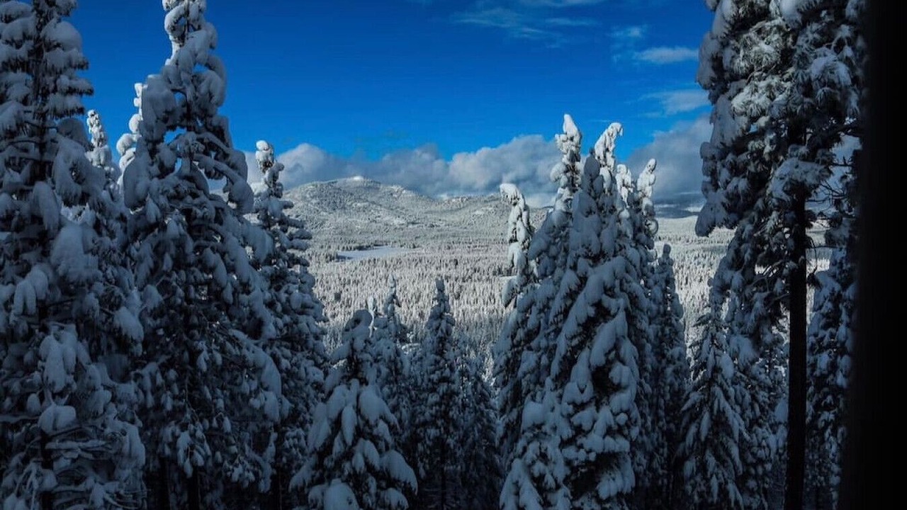 Photo of Others in Gold Mountain