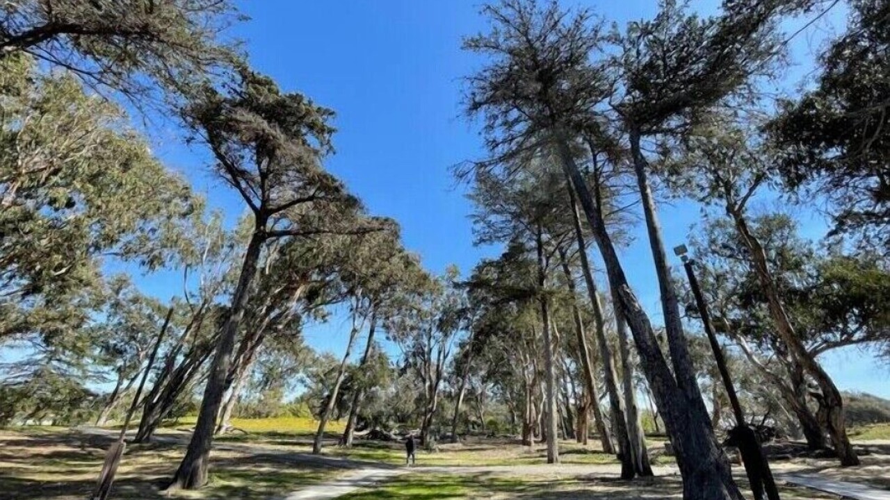 Photo of Outdoor in Grover Beach