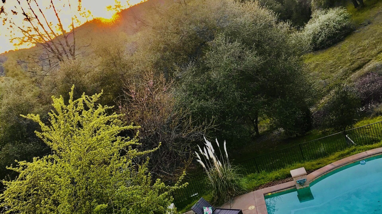 Photo of Outdoor in Placerville