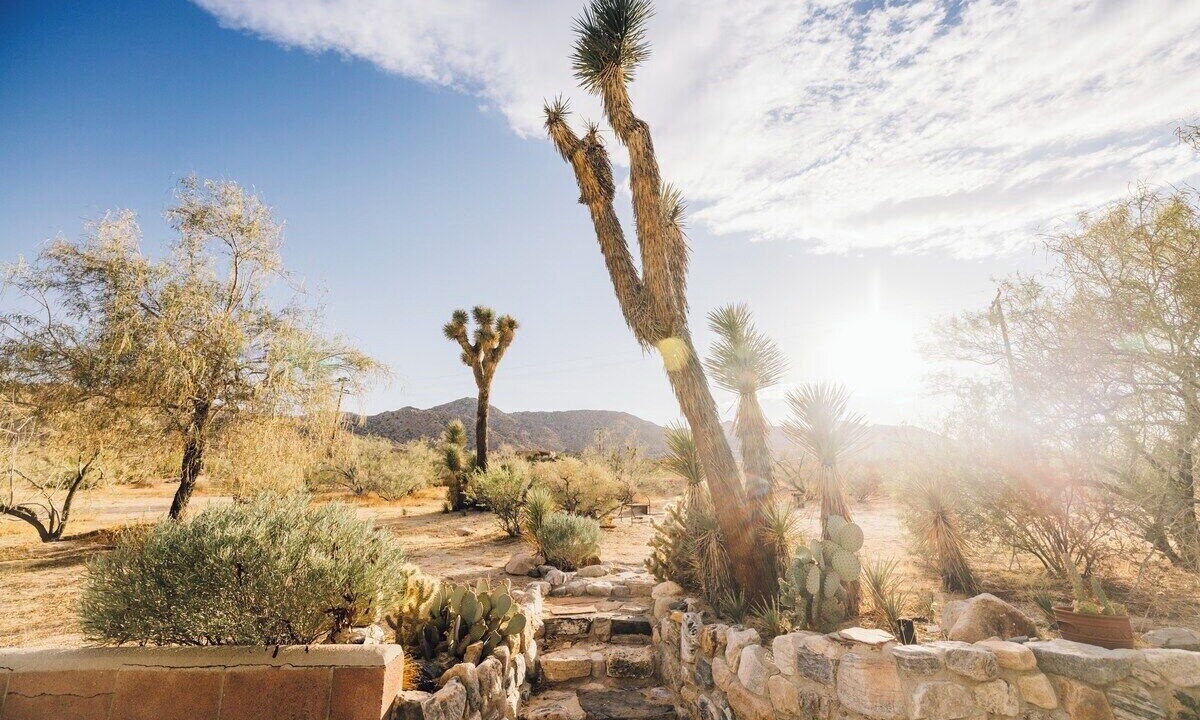 Photo of Others in Joshua Tree Highlands