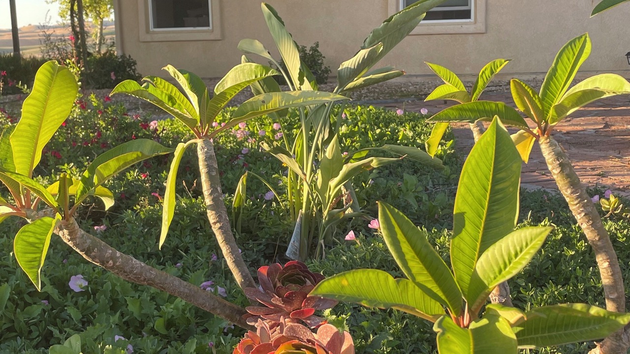 Photo of Outdoor in San Miguel