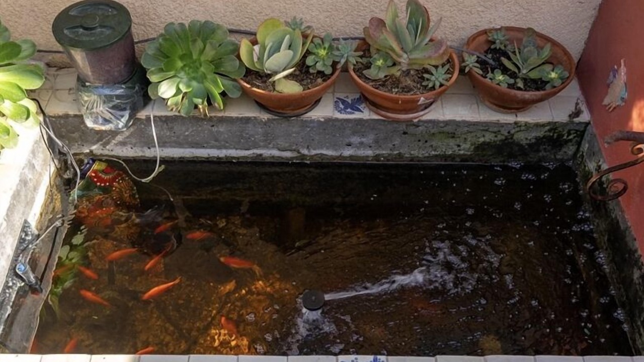 Photo of Outdoor in San Miguel