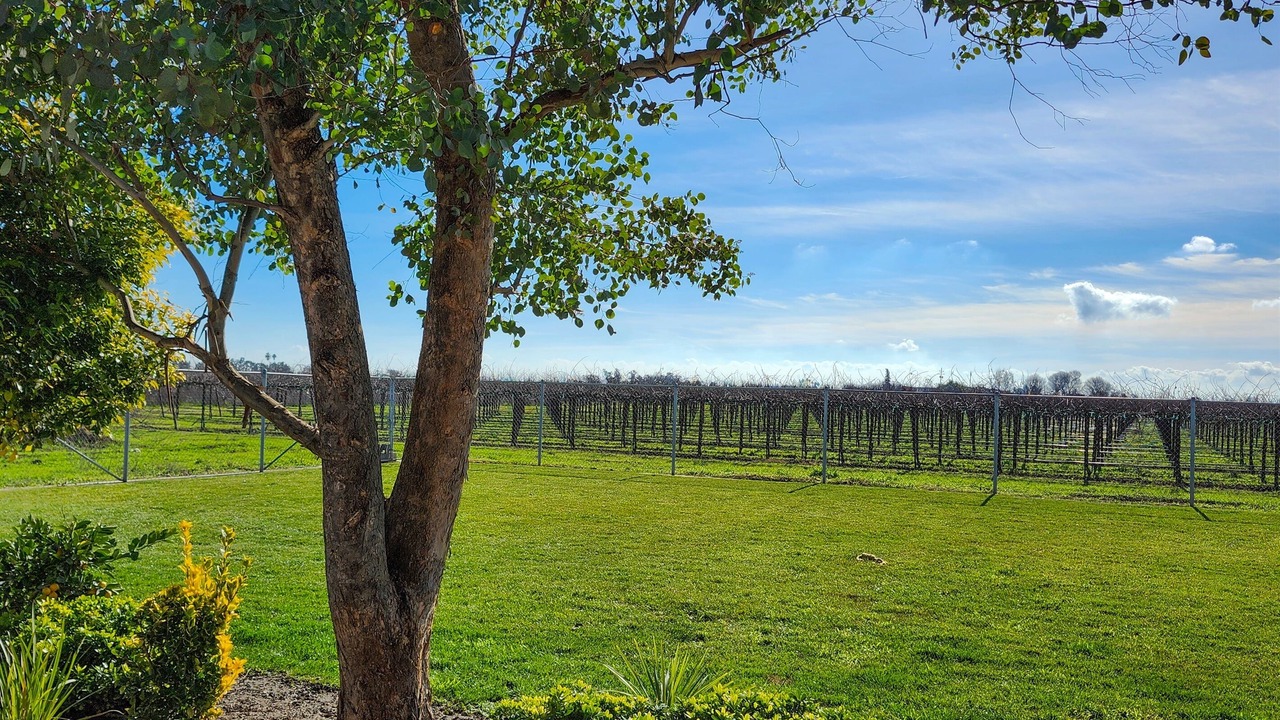 Photo of Outdoor in Lodi