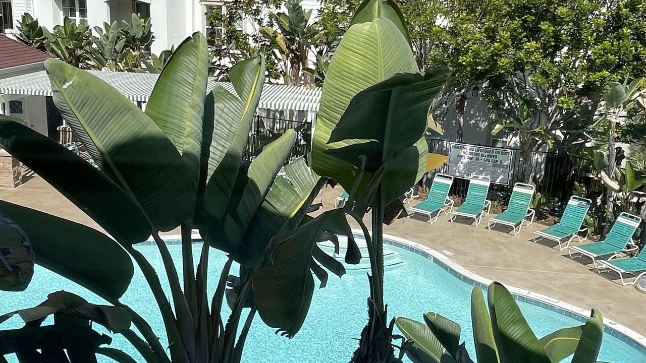 Photo of Outdoor in East Side Capistrano