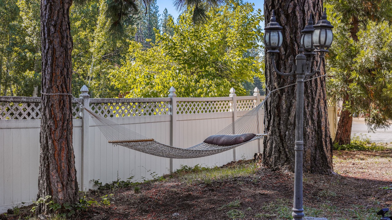 Photo of Outdoor in McCloud
