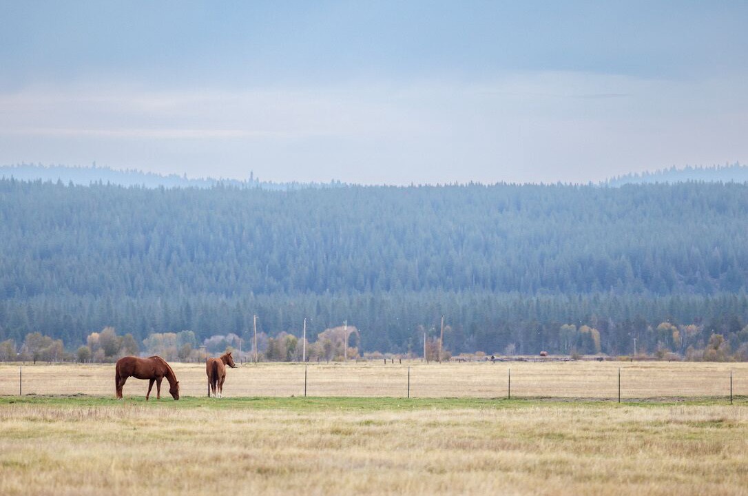 Photo of Others in Fort Klamath