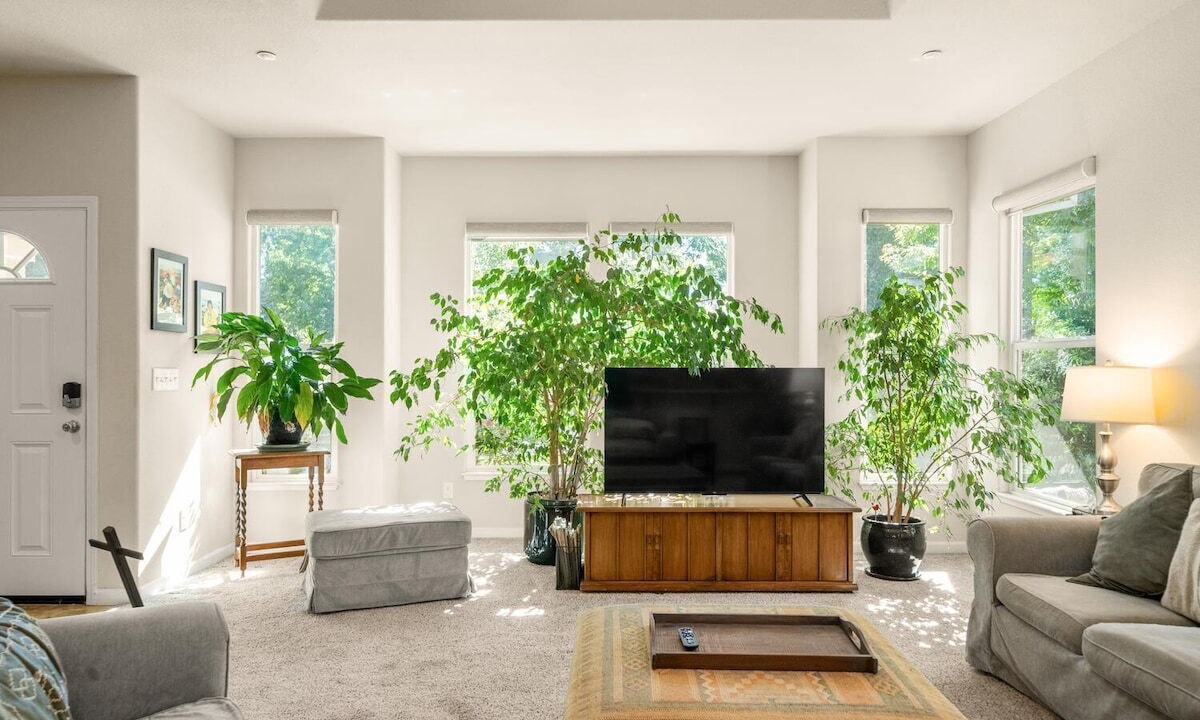 Photo of Livingroom in Chico