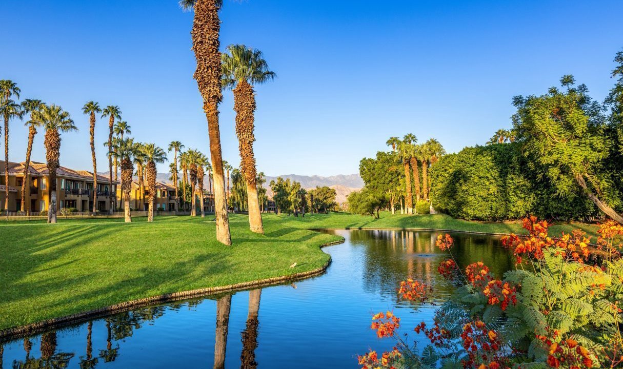 Photo of Outdoor in Palm Desert