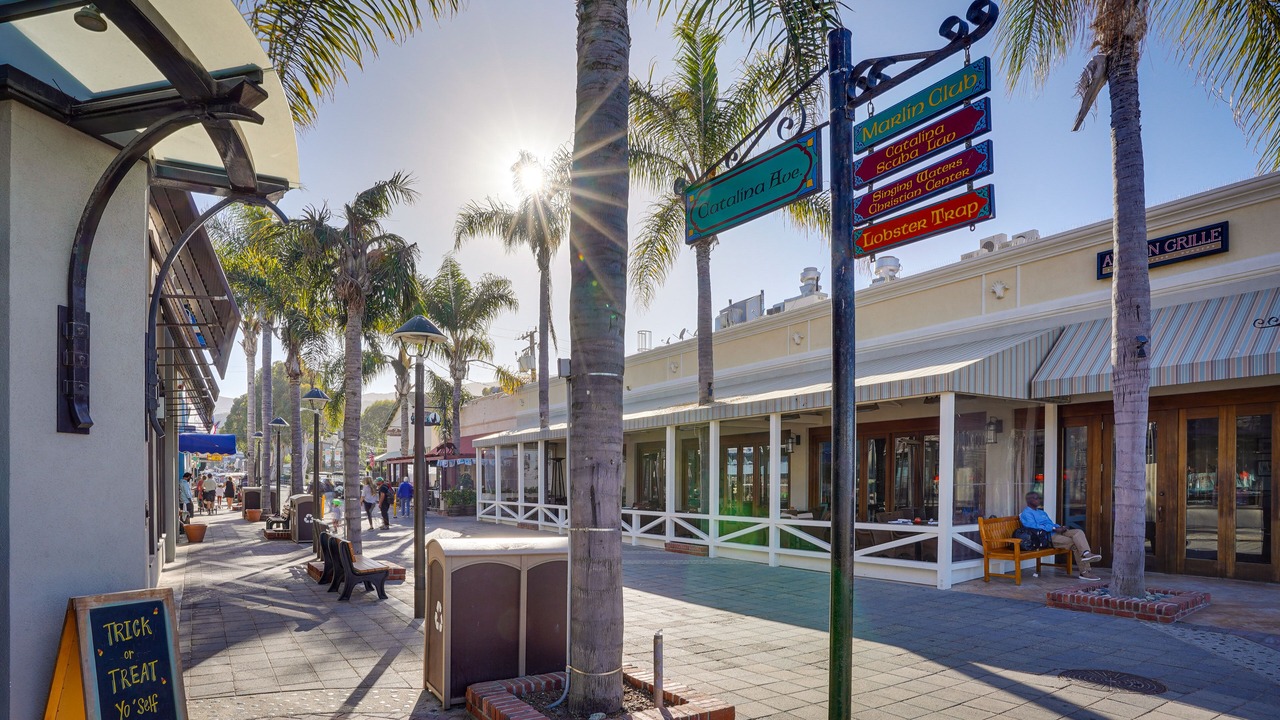 Photo of Others in Avalon
