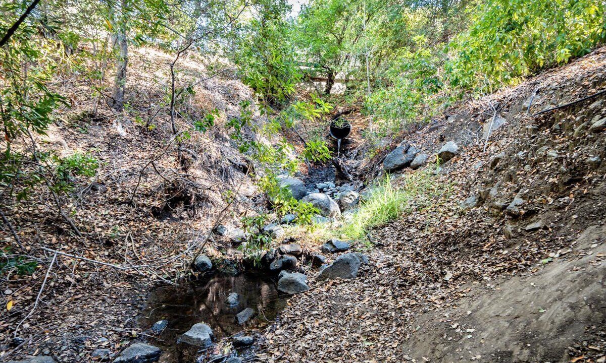 Photo of Others in San Luis Obispo