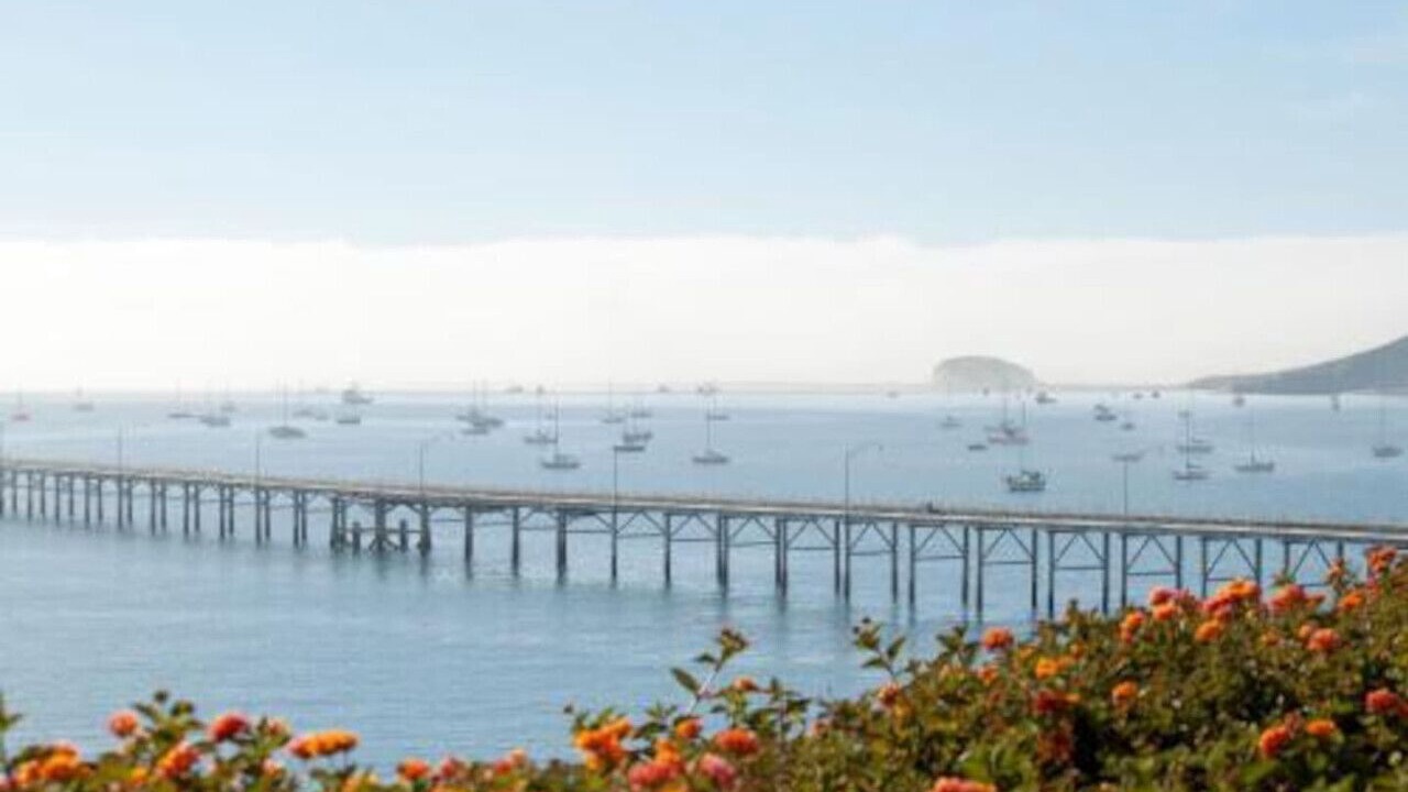 Photo of Others in Avila Beach