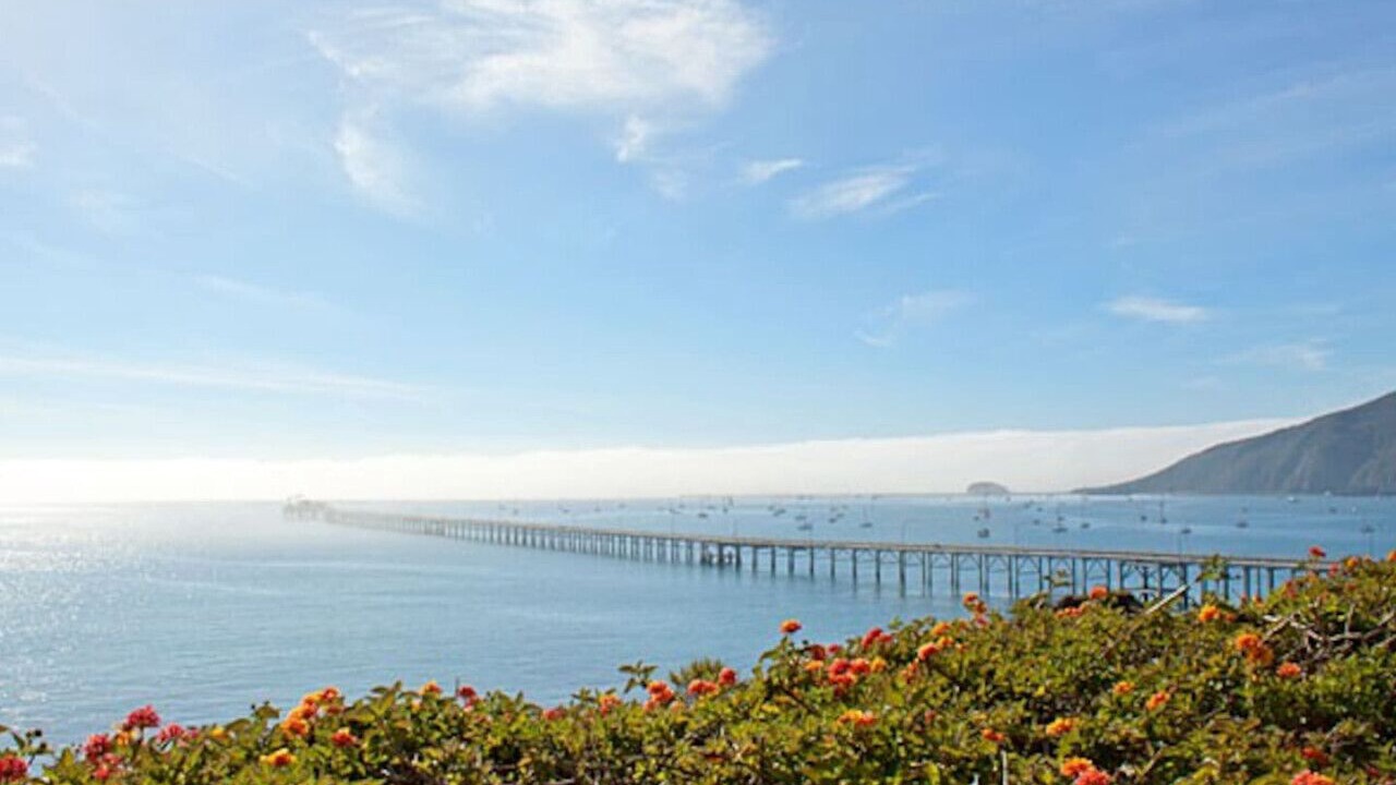 Photo of Others in Avila Beach
