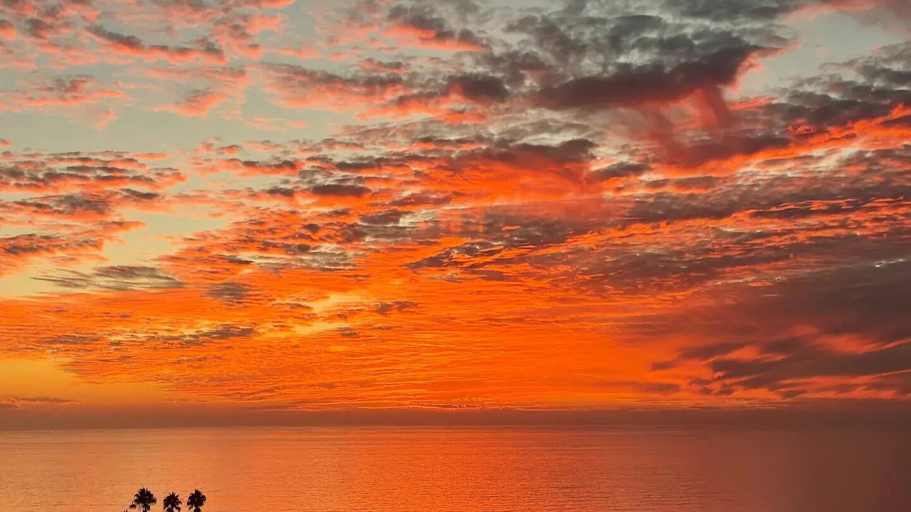 Photo of Others in Sunset Cliffs