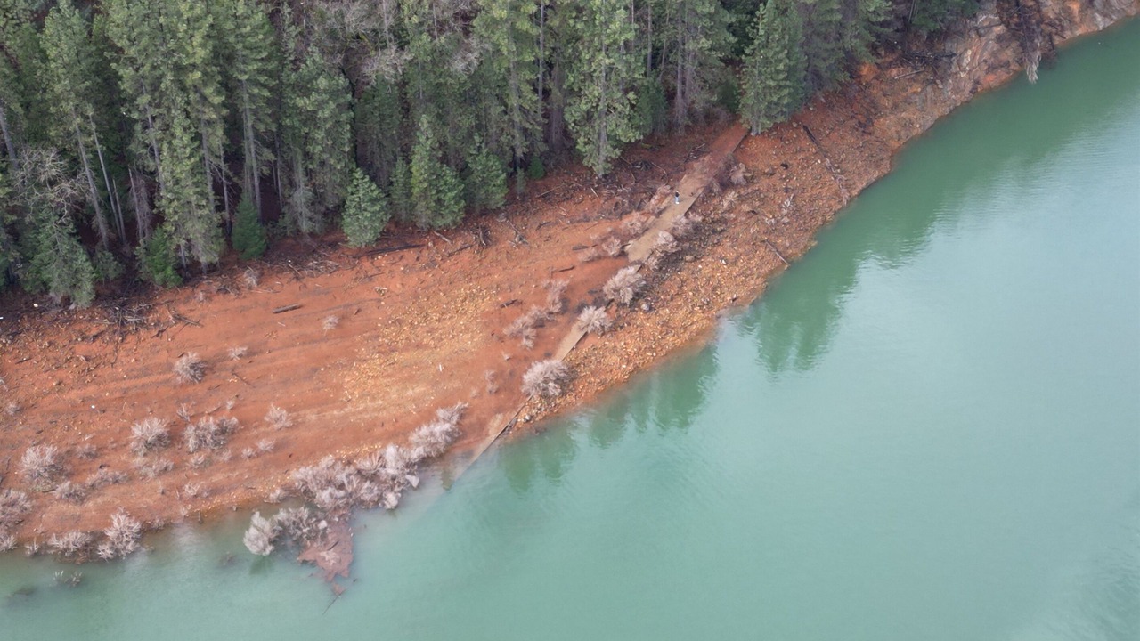 Photo of Others in Lakehead-Lakeshore