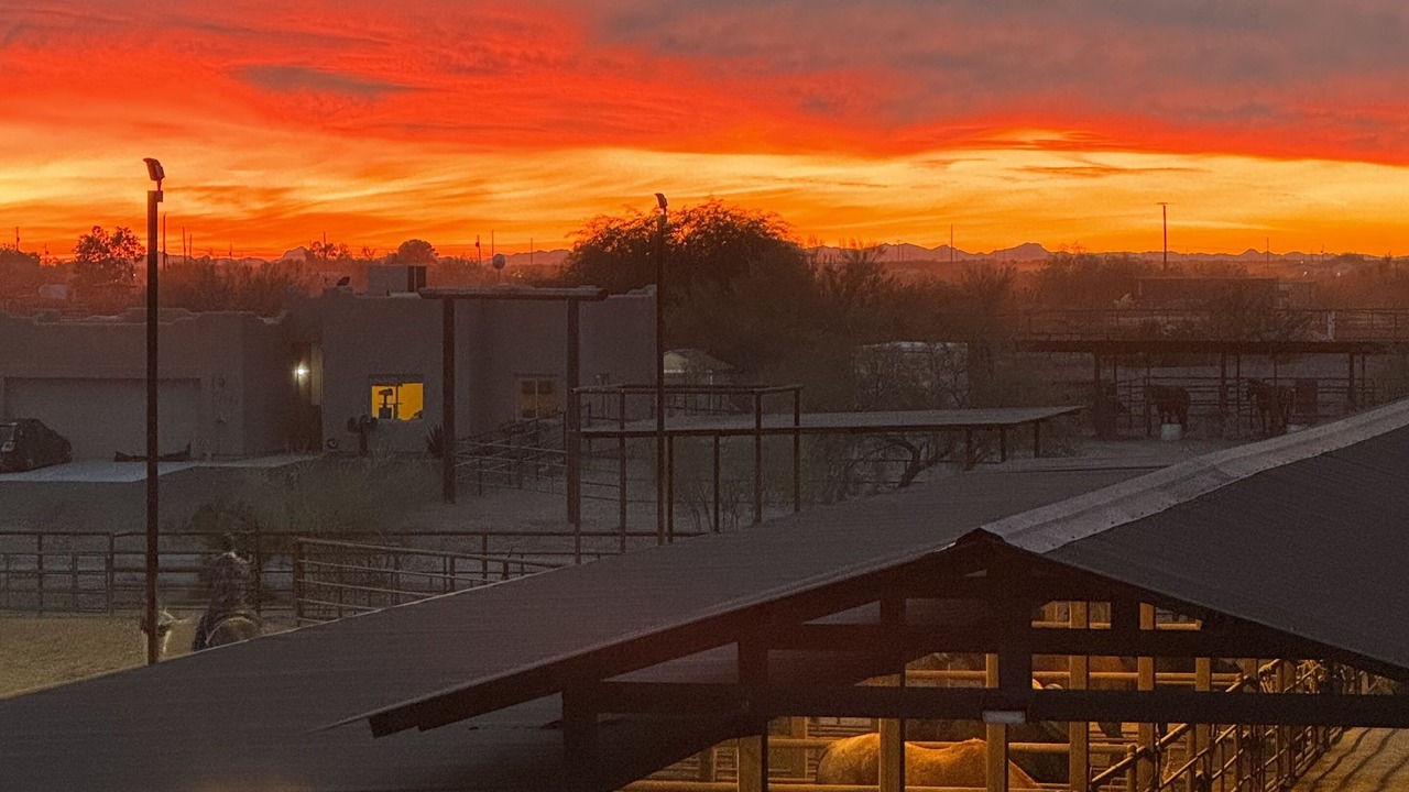 Photo of Outdoor in Wittmann