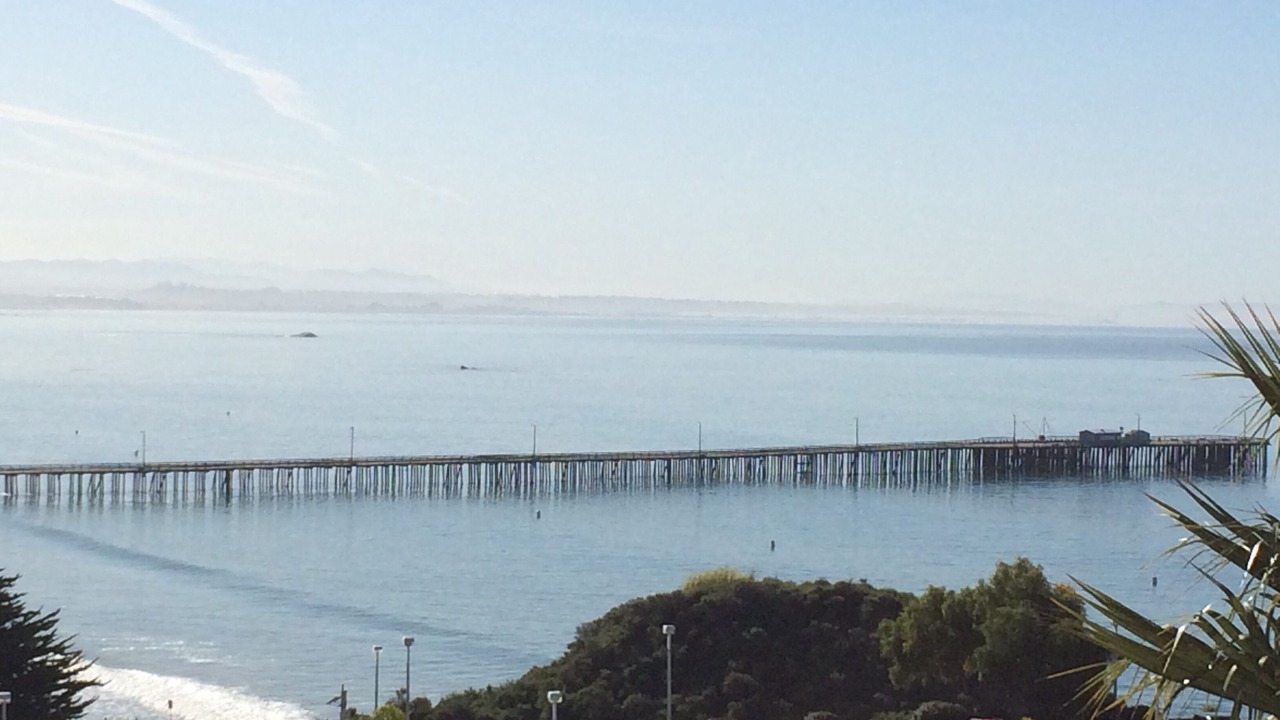 Photo of Others in Avila Beach