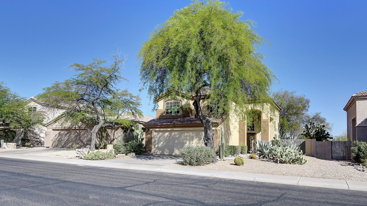 Photo of Outdoor in Tatum Ranch