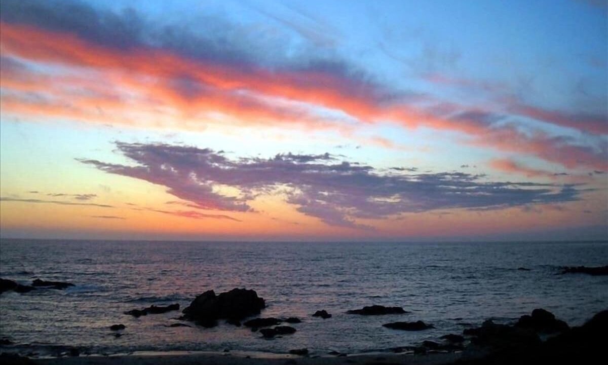 Photo of Others in Pacific Grove