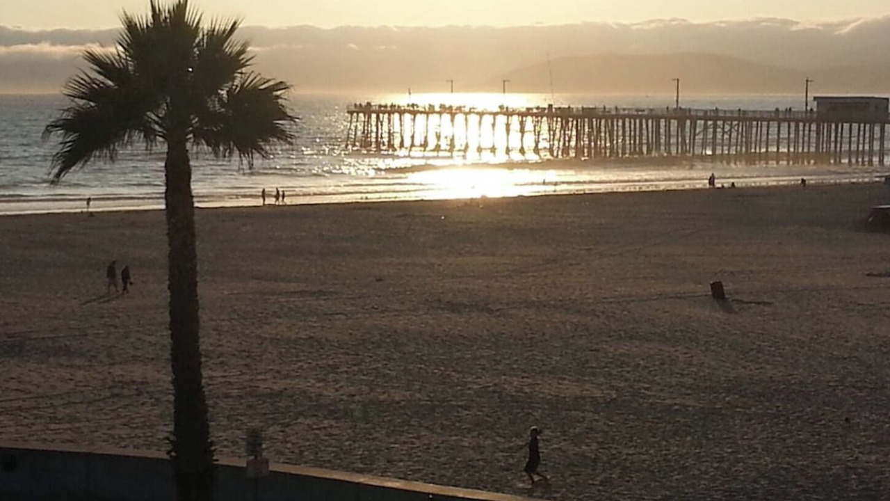 Photo of Others in Shell Beach