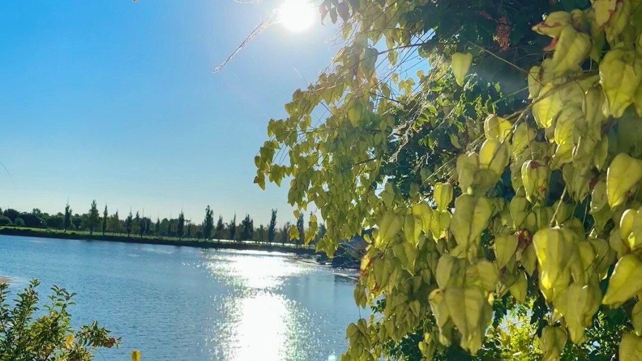 Photo of Others in Laguna West-Lakeside