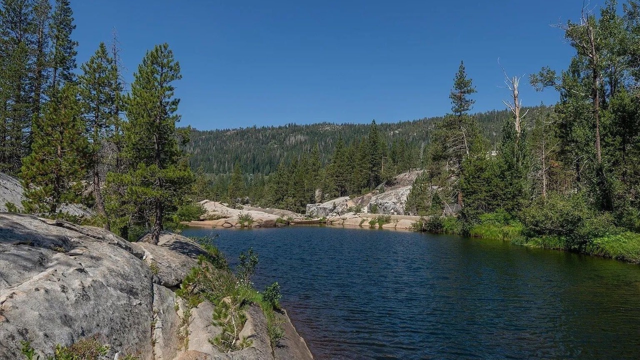 Photo of Others in Tahoe National Forest