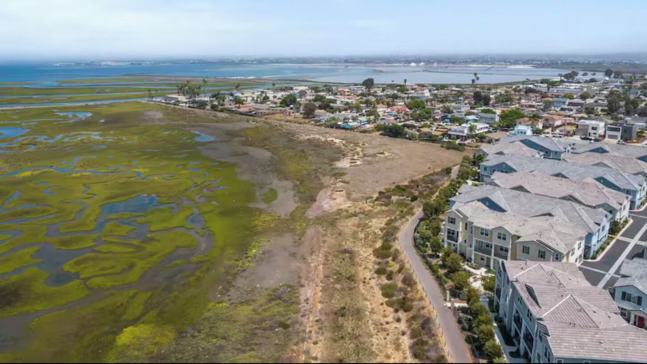 Photo of Outdoor in Imperial Beach