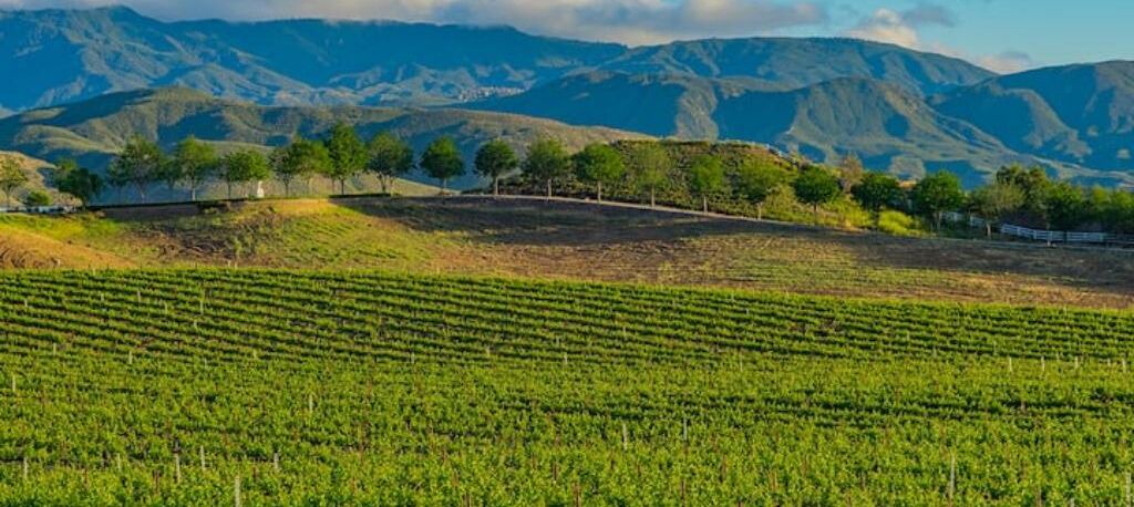 Photo of Others in Temecula