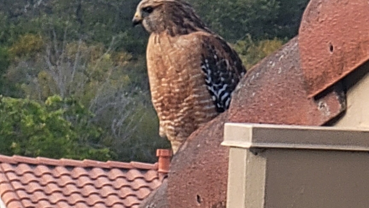 Photo of Others in Nipomo
