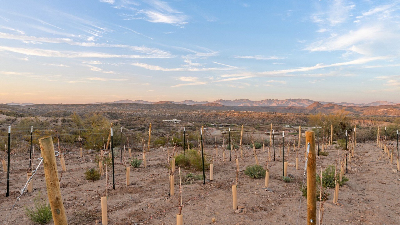 Photo of Others in Wickenburg