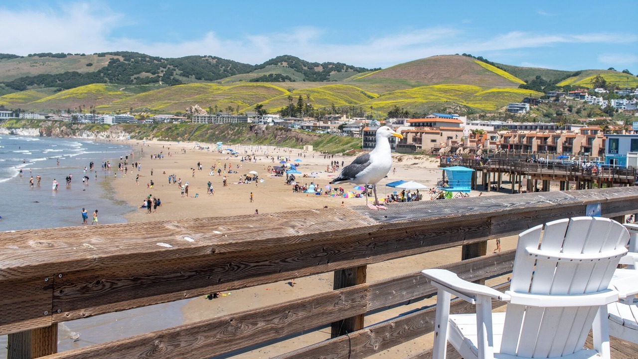 Photo of Others in Avila Beach