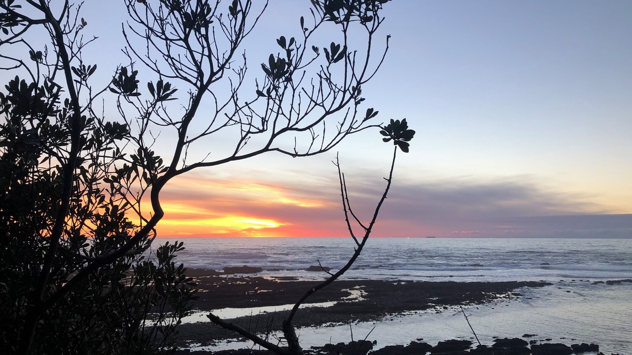 Photo of Others in Moss Beach