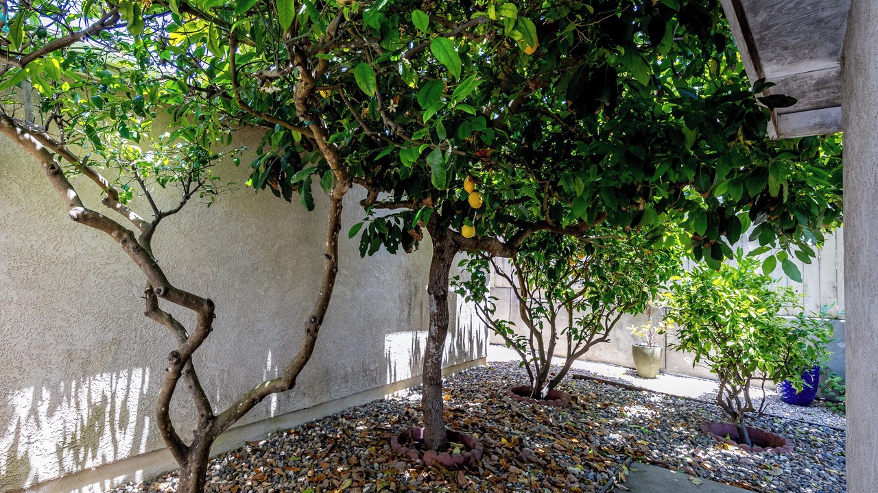 Photo of Outdoor in Grover Beach