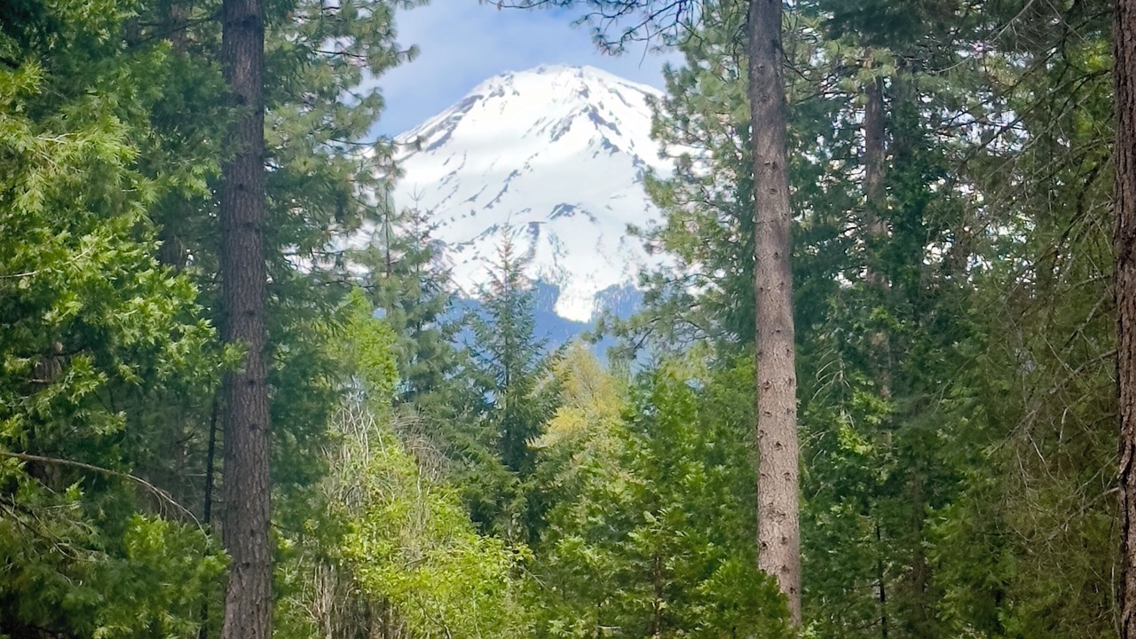 Photo of Others in Mount Shasta
