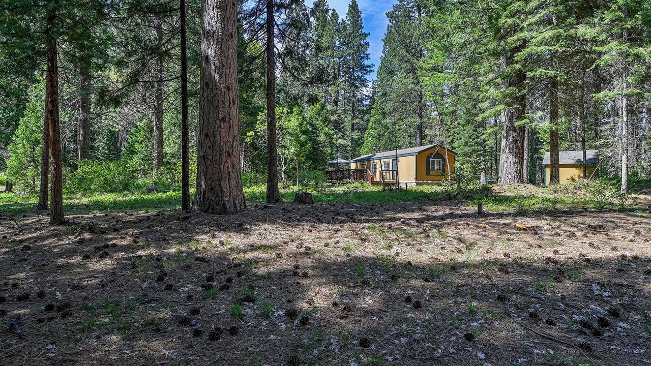Photo of Others in Mount Shasta