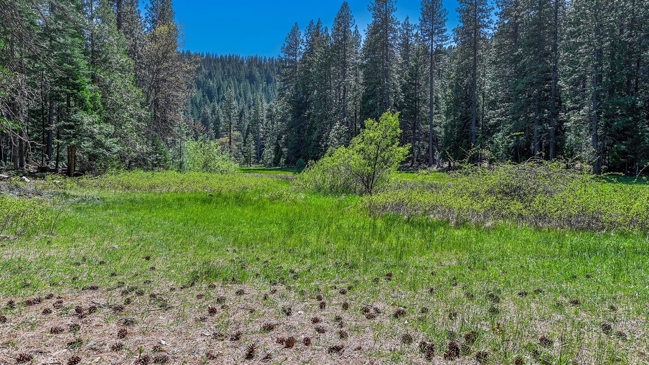 Photo of Others in Mount Shasta
