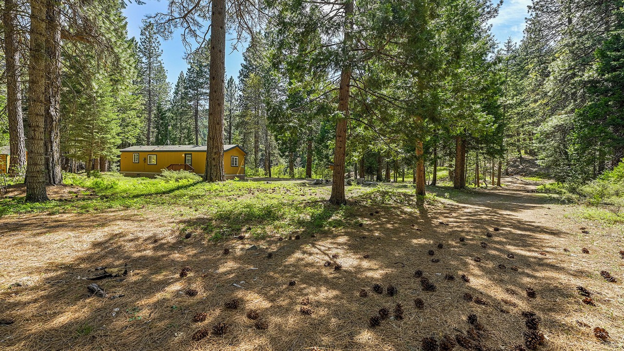 Photo of Others in Mount Shasta