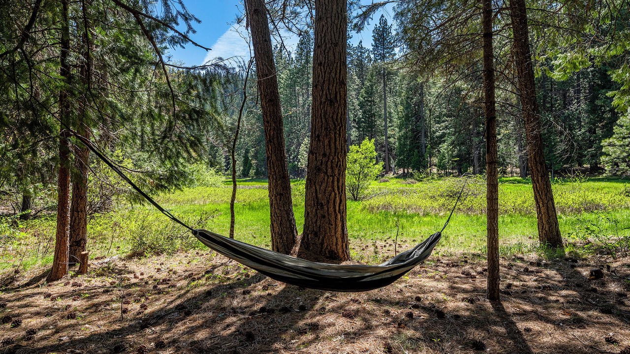 Photo of Others in Mount Shasta