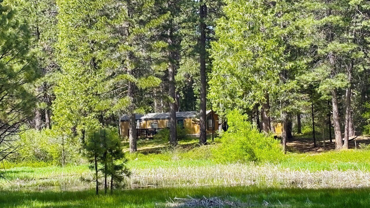 Photo of Others in Mount Shasta
