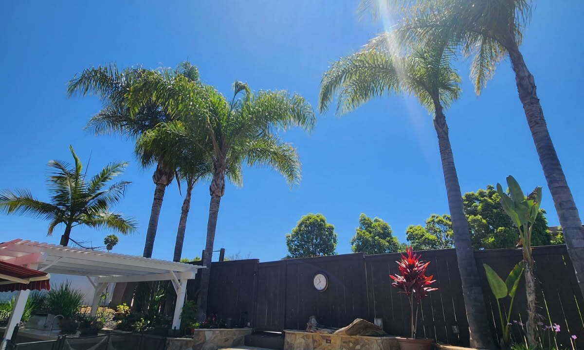 Photo of Outdoor in Carlsbad