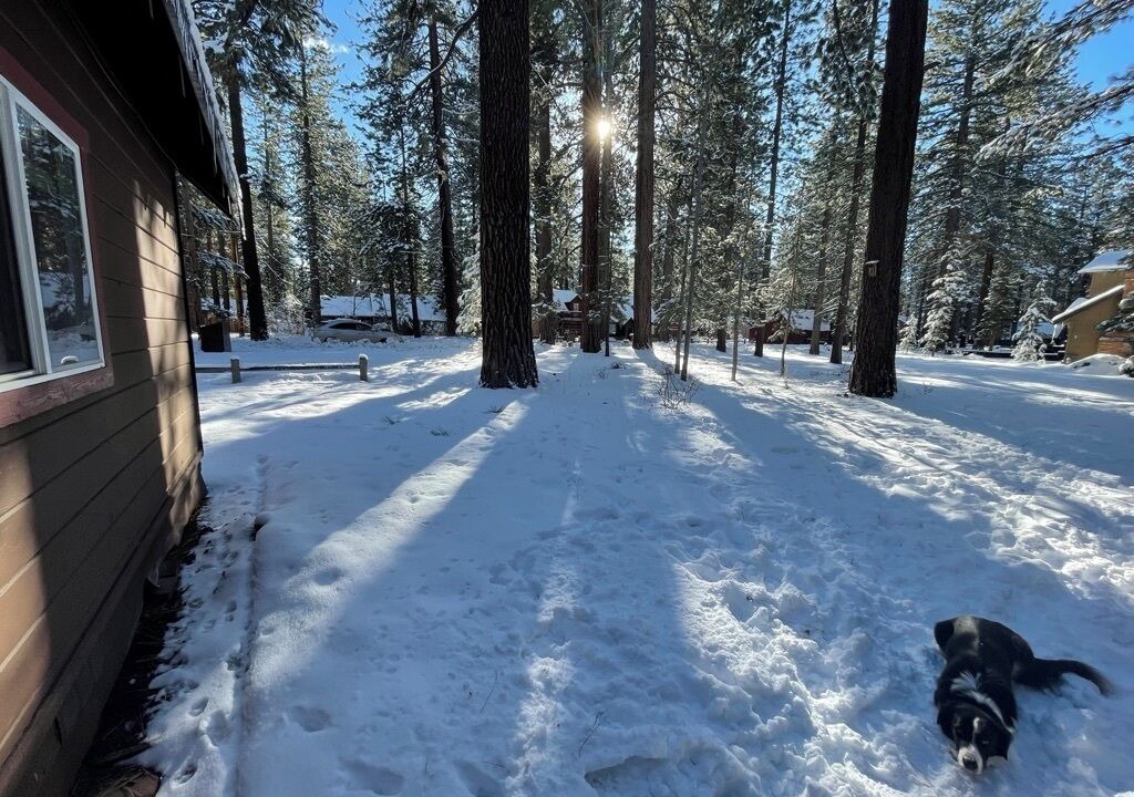 Photo of Outdoor in Al Tahoe