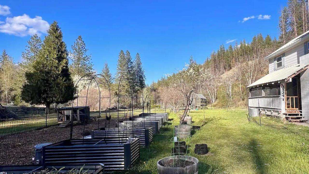 Photo of Outdoor in Callahan
