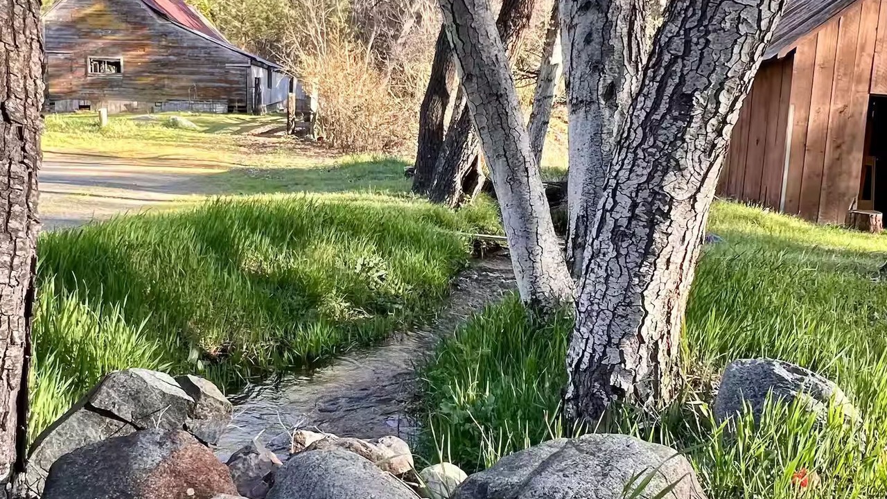 Photo of Outdoor in Callahan
