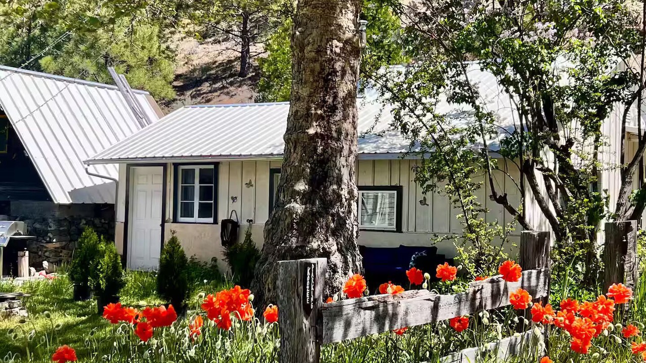 Photo of Outdoor in Callahan