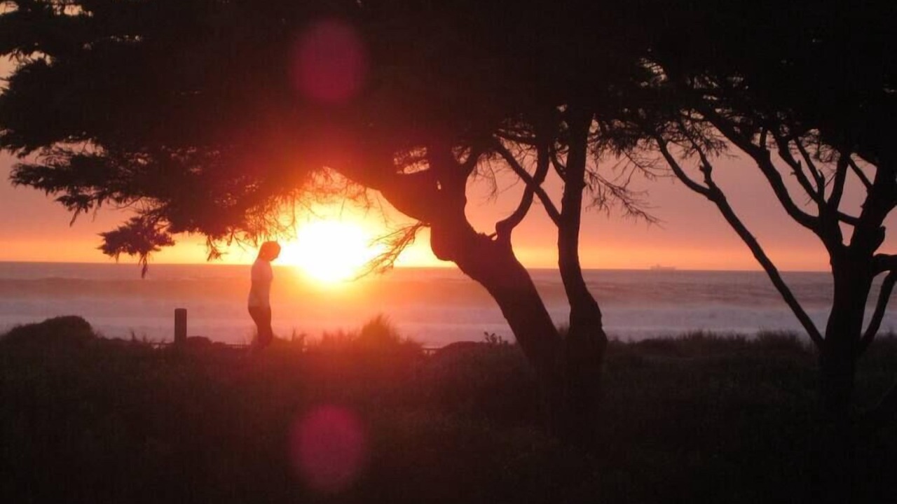 Photo of Others in Outer Sunset