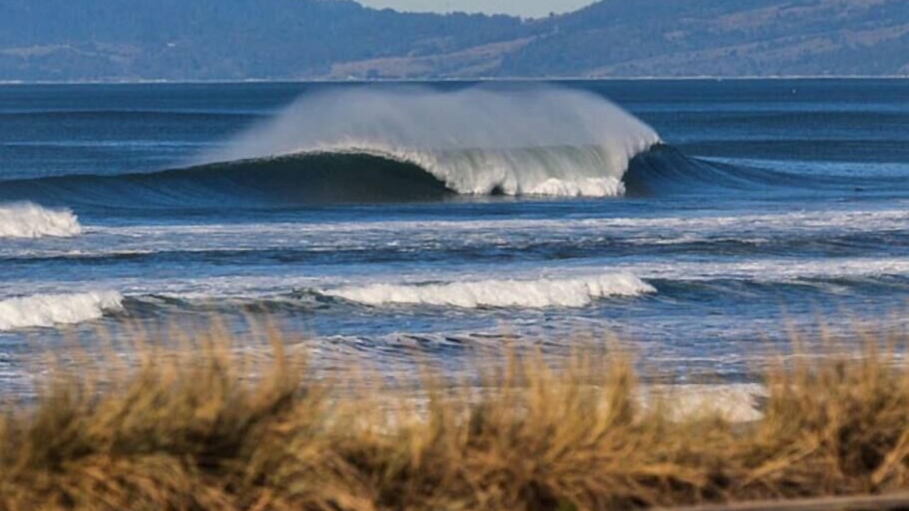 Photo of Others in Outer Sunset