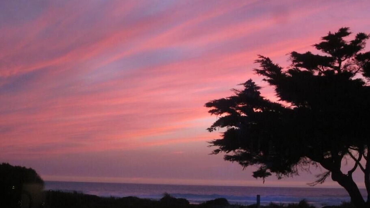 Photo of Others in Outer Sunset
