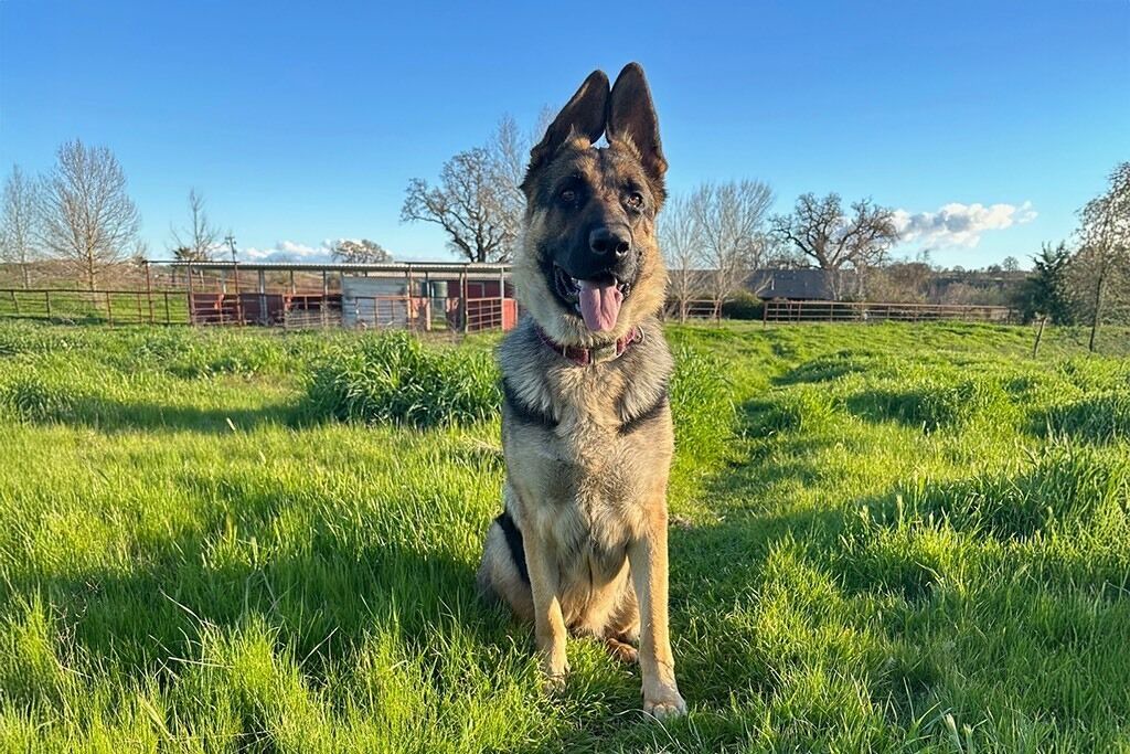 Photo of Others in Paso Robles
