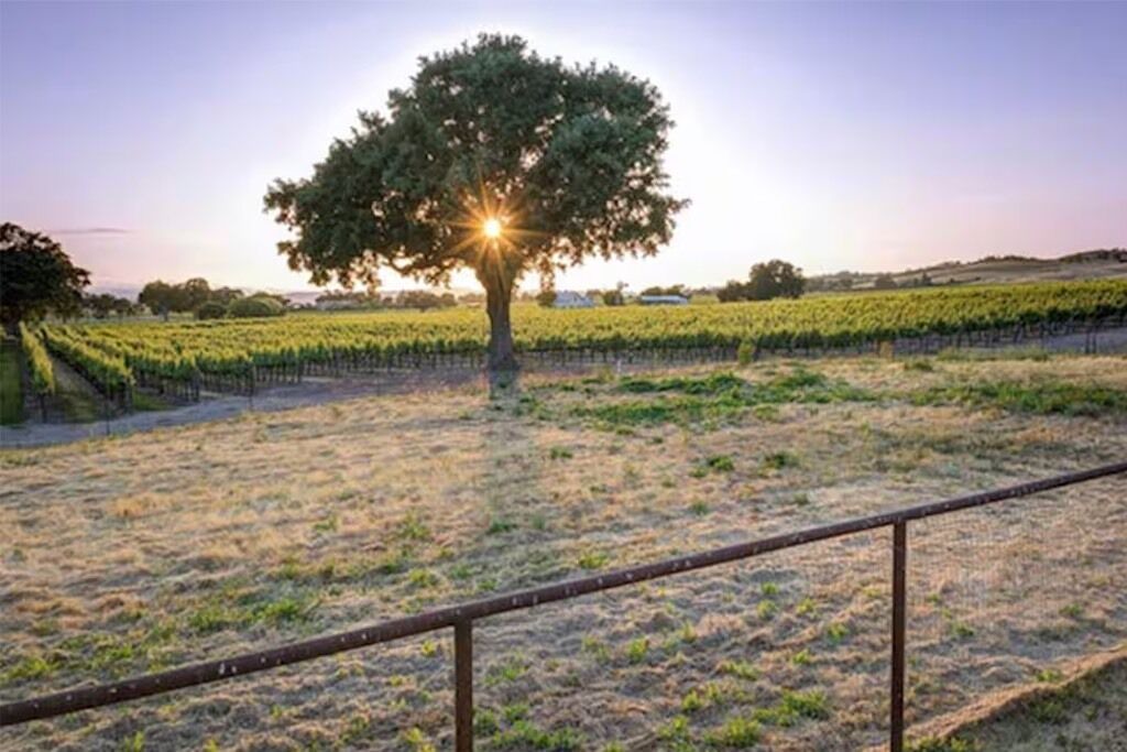 Photo of Others in Paso Robles
